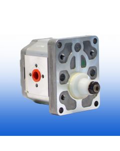 Pompa a ingranaggi Turolla/Danfoss Cod.111.20.213.00