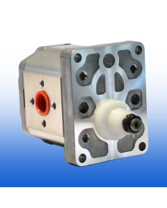 Pompa a ingranaggi Turolla/Danfoss Cod.111.20.219.00